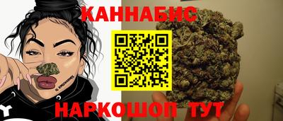 гашиш Кингисепп