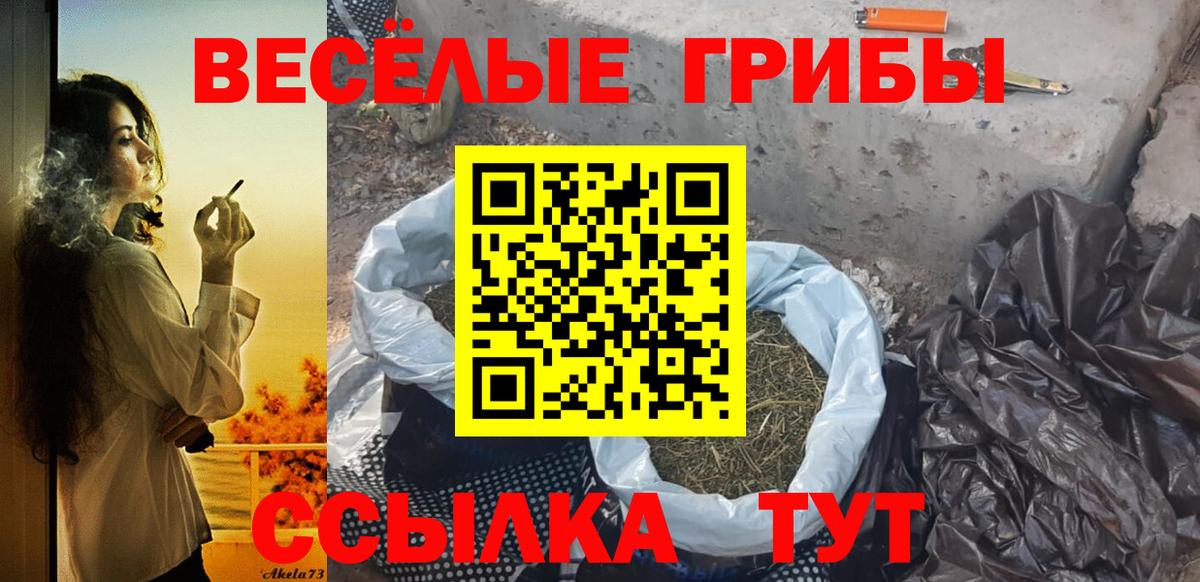 Псилоцибиновые грибы мицелий Красноярск